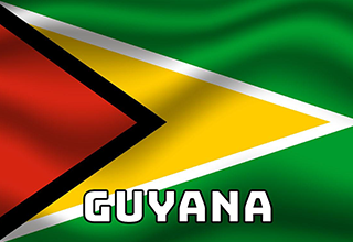 圭亚那