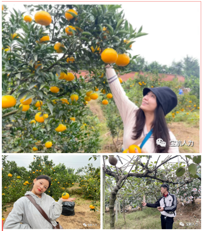 宝航人力集团管理层团建活动